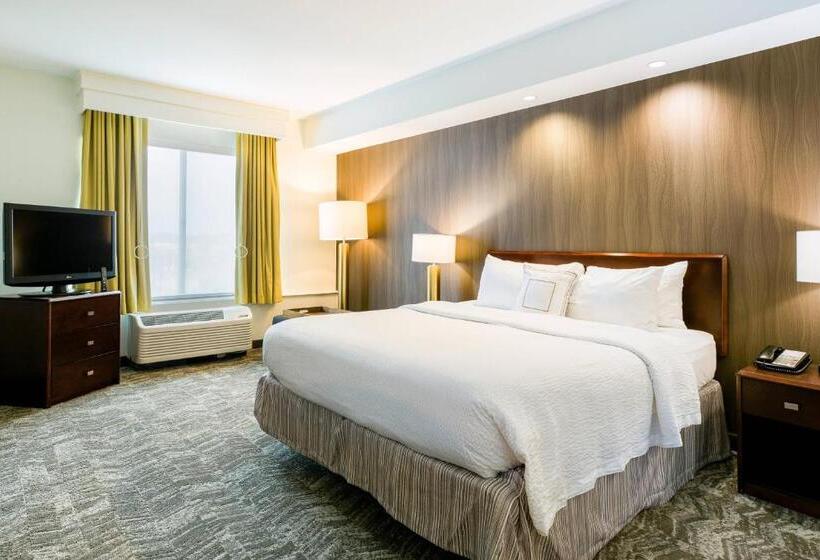 带大床的套房, Springhill Suites Florence