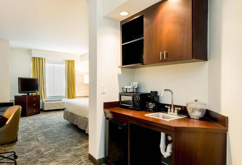 מיטת קינג בסוויטה, Springhill Suites Florence