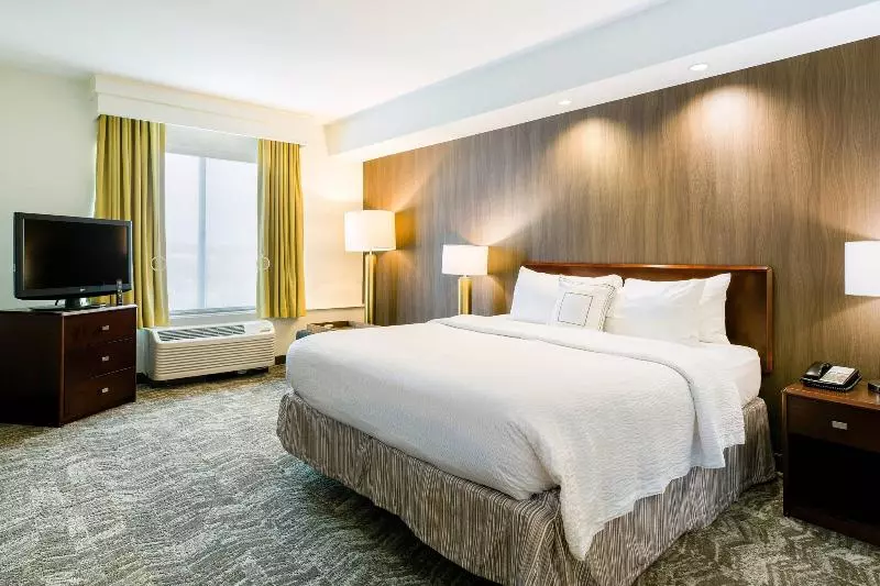 キングサイズベッドのスイートルーム, Springhill Suites Florence