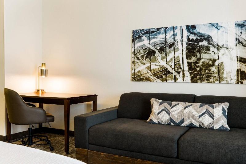 带大床的套房, Springhill Suites Florence