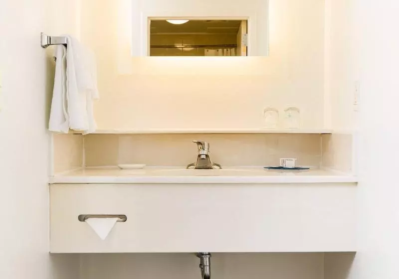 スイート, Springhill Suites Florence