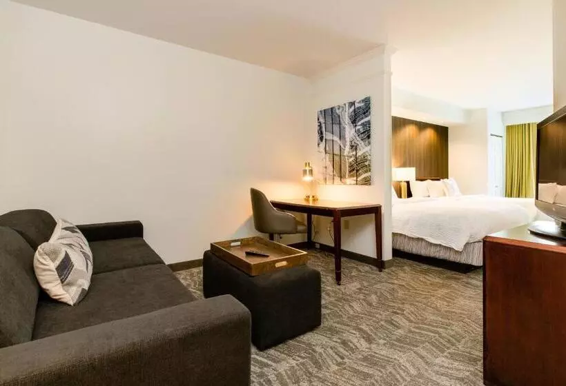 スイート, Springhill Suites Florence