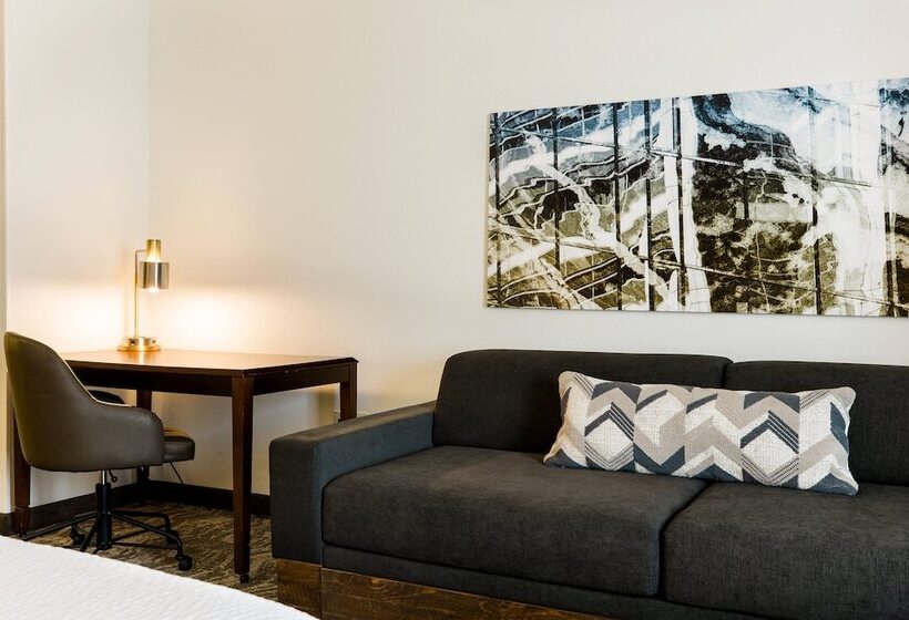 套房, Springhill Suites Florence