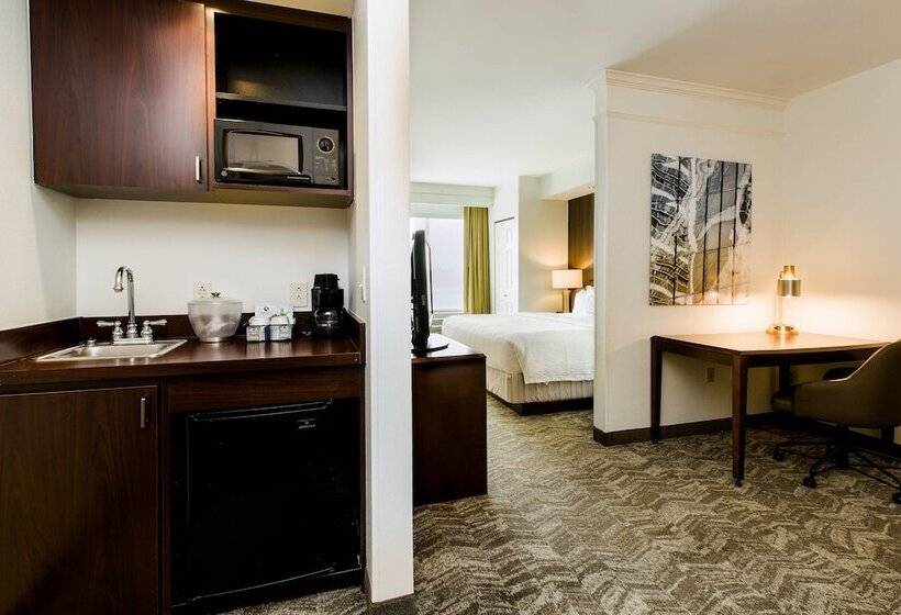 套房, Springhill Suites Florence
