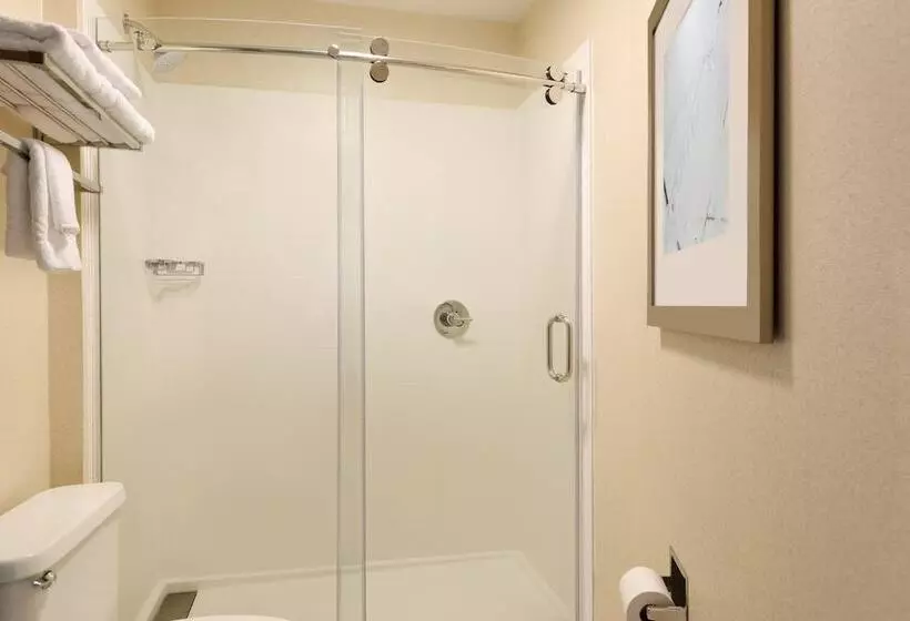 スイート, Springhill Suites By Marriott Little Rock