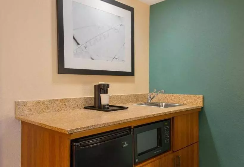 キングサイズベッドのスイートルーム, Springhill Suites By Marriott Little Rock