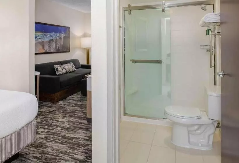 キングサイズベッドのスイートルーム, Springhill Suites Seattle Downtown, South Lake Union