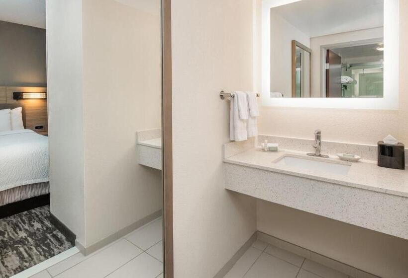Suite Tilpasset til Handicappede, Springhill Suites Seattle Downtown, South Lake Union