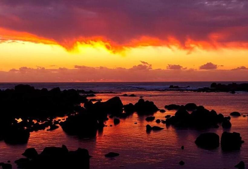 غرفة عائلية, West Coast Shores