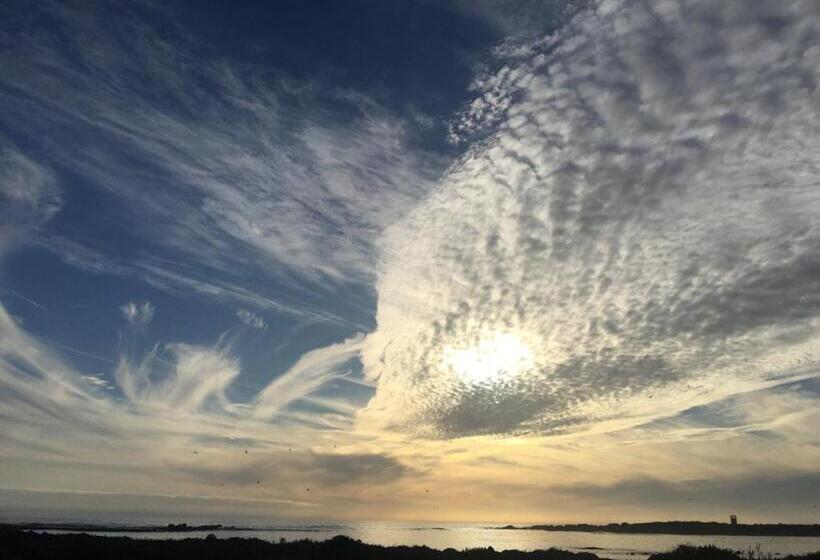 غرفة عائلية, West Coast Shores