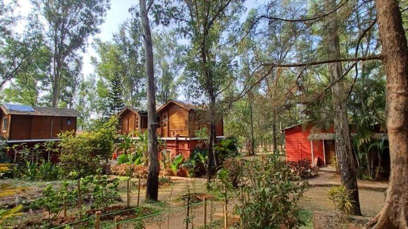 디럭스 룸, The Jungle Resort Amba