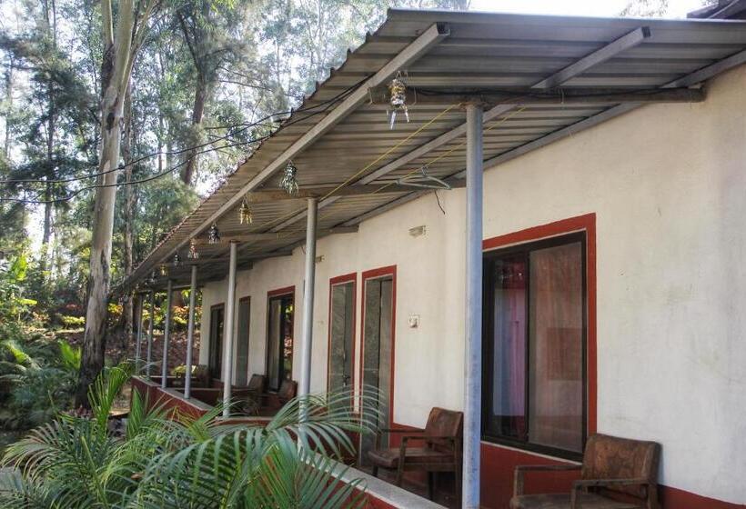 디럭스 룸, The Jungle Resort Amba