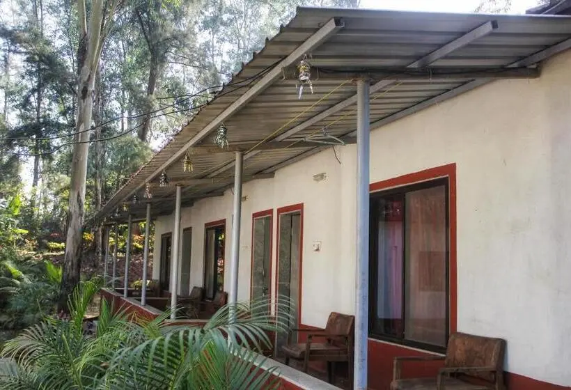 デラックスルーム, The Jungle Resort Amba