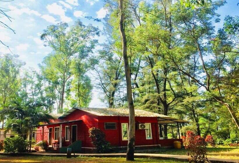 디럭스 룸, The Jungle Resort Amba