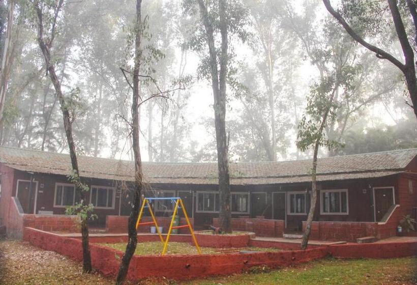 스탠다드 룸, The Jungle Resort Amba