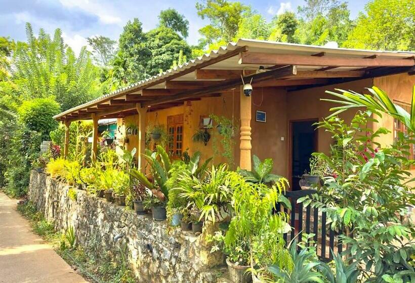 غرفة عائلية, Kasun