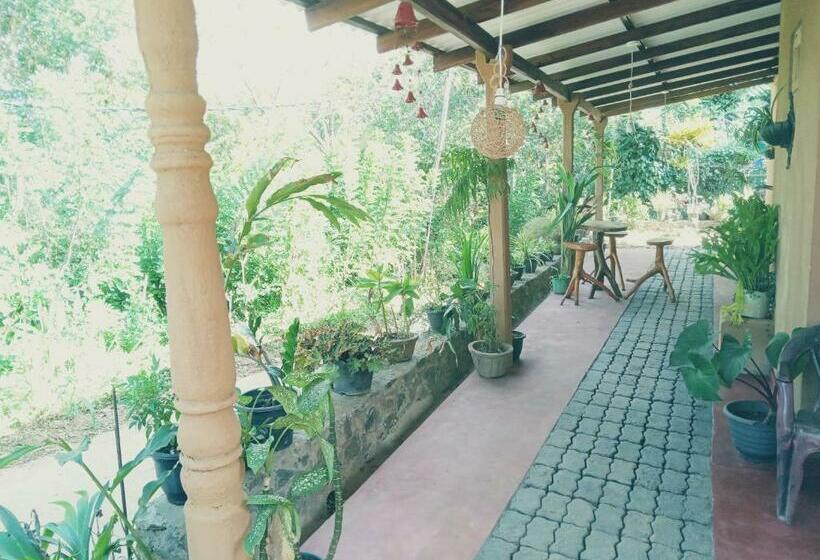 غرفة عائلية, Kasun