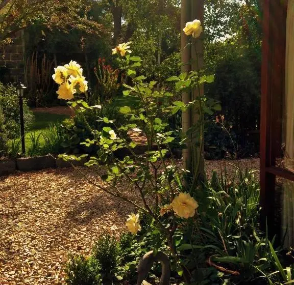 デラックススタジオ, Bindley House B&b Cottage