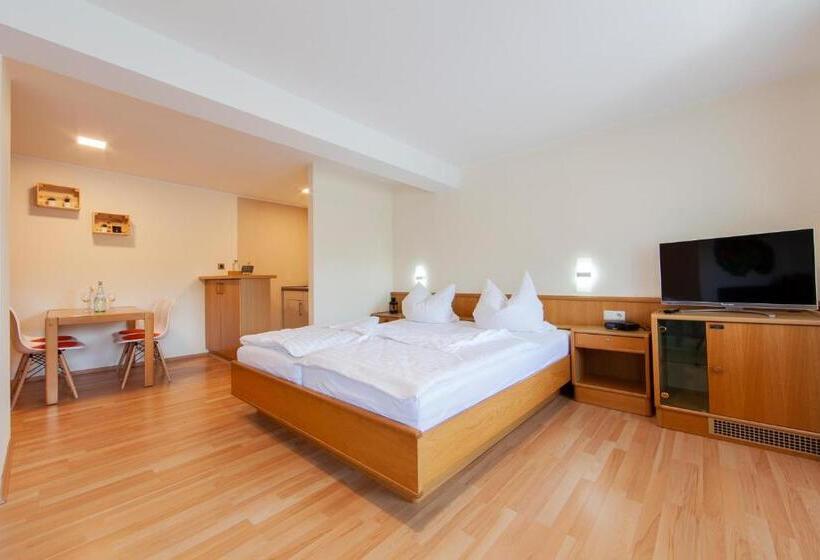 Апартаменты 1 Спальня, Appartementhaus Eifeladventures