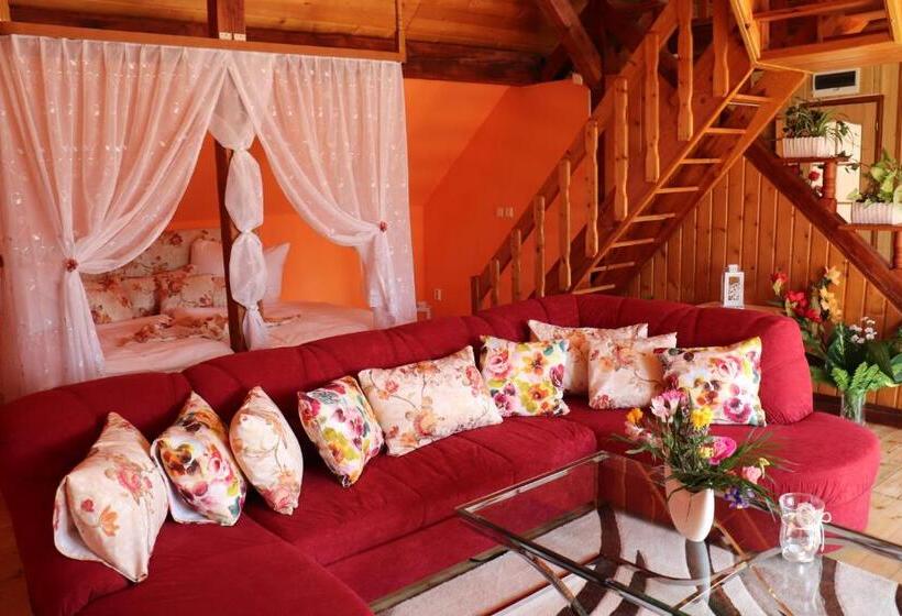 テラス付きジュニアスイート, U Wewody Fridlantskeho