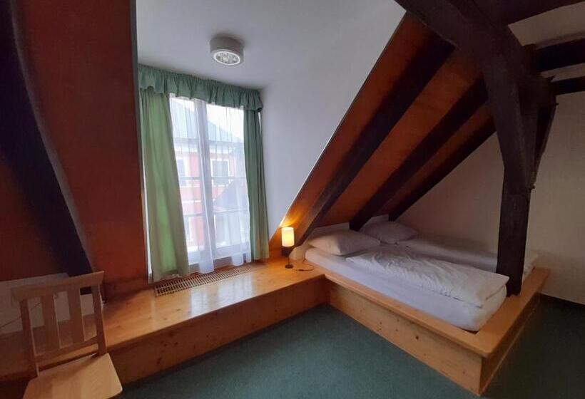 غرفة قياسية, Wellness Hotel Zámeček