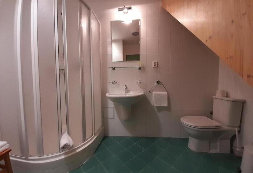 غرفة قياسية, Wellness Hotel Zámeček