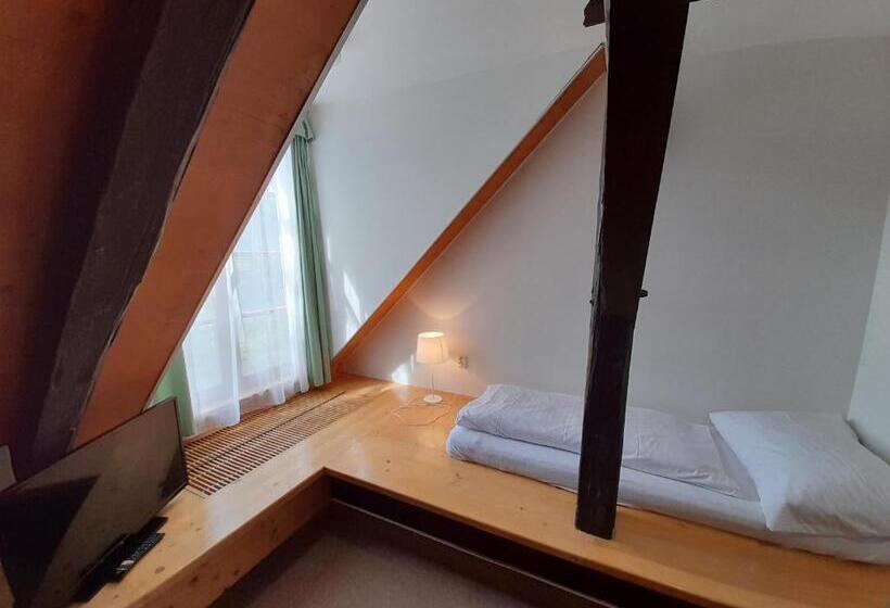 غرفة قياسية فردية, Wellness Hotel Zámeček