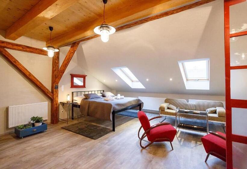 １ベッドルームのデラックスアパートメント, & Depandance Kopacka