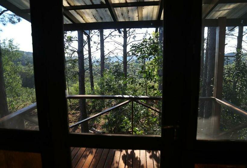 ファミリールーム, Piel De Timbó