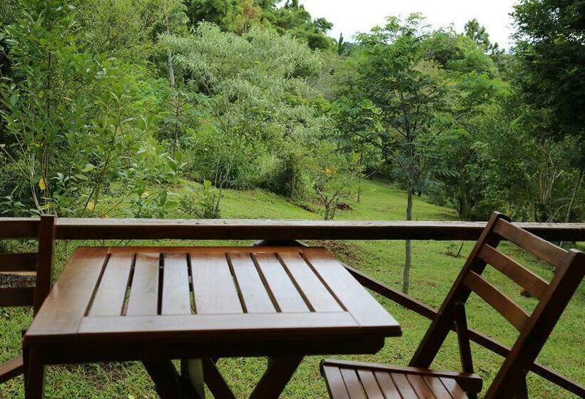 ファミリールーム, Piel De Timbó