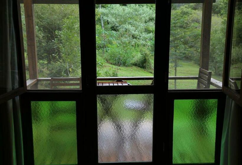 スタンダードトリプルルーム, Piel De Timbó