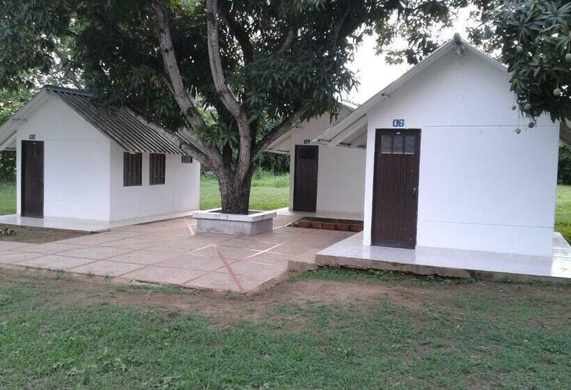 غرفة قياسية, Campestre Cenvaturs