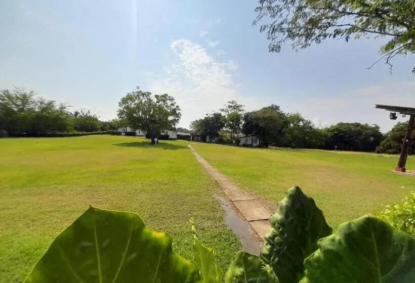 ファミリールーム, Campestre Cenvaturs