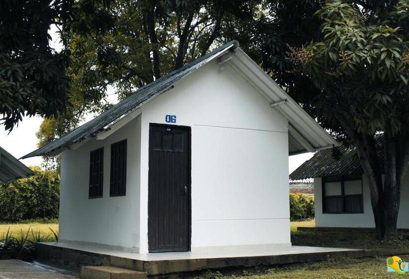 غرفة قياسية, Campestre Cenvaturs