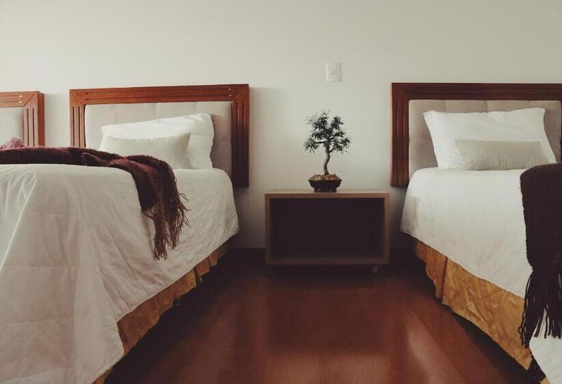 غرفة ديلوكس ثلاثية, Solaris