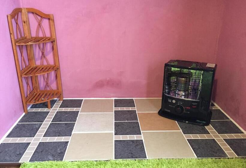 غرفة قياسية, Cozy Penguin House Bibai