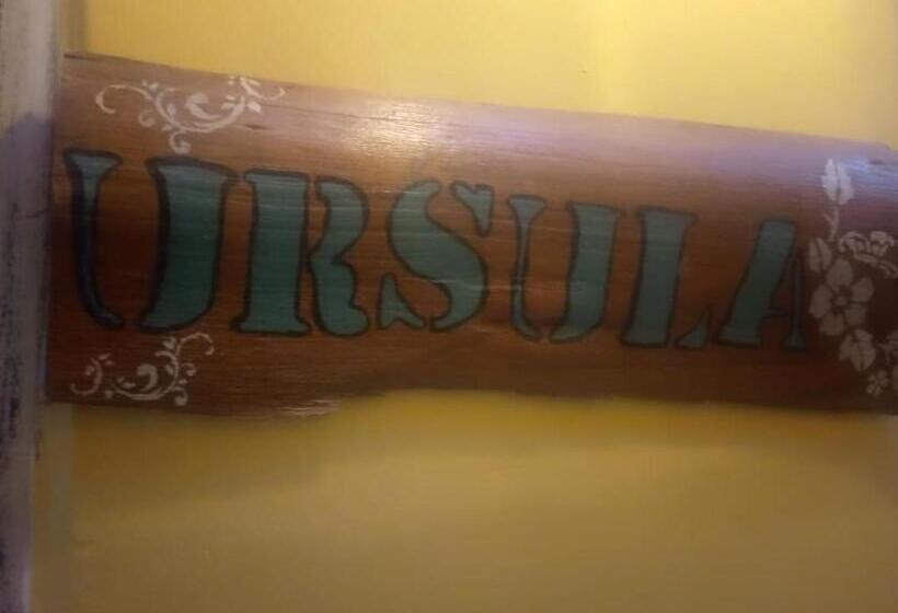 غرفة قياسية, Hostal Macondo Inn