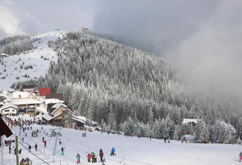 سوئیت با تخت بزرگ, Cabana Restaurant Terra