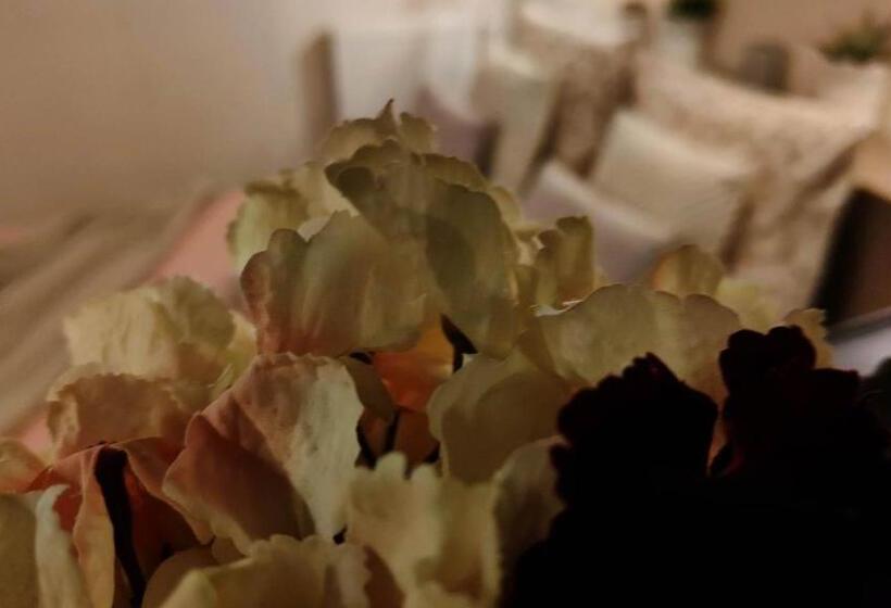 家庭间, Les Rêves D églantine Et D Augusta Chambres Et Gîtes