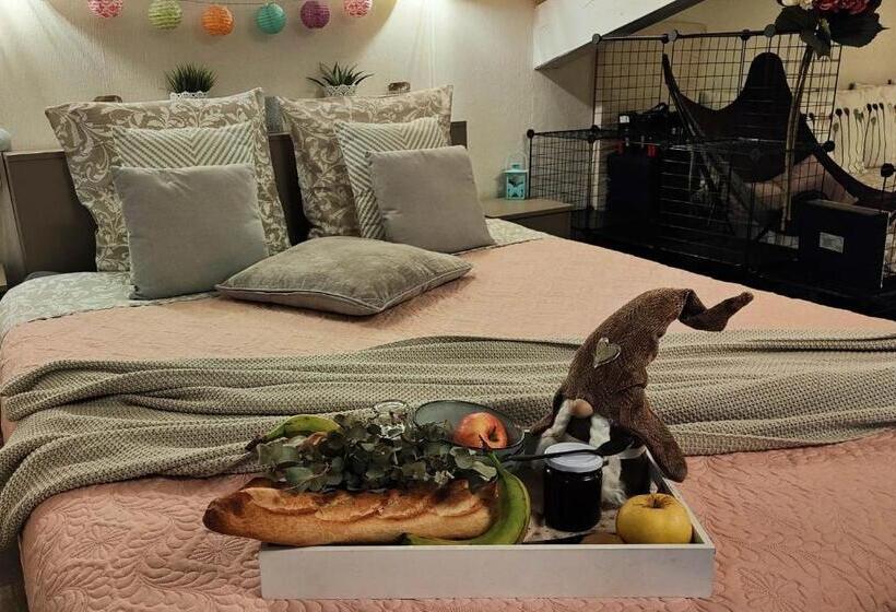 家庭间, Les Rêves D églantine Et D Augusta Chambres Et Gîtes