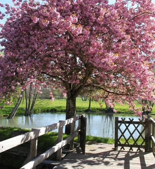 景色の見えるトリプルスタンダードルーム, Moulin De Bacchus Châteaux De La Loire