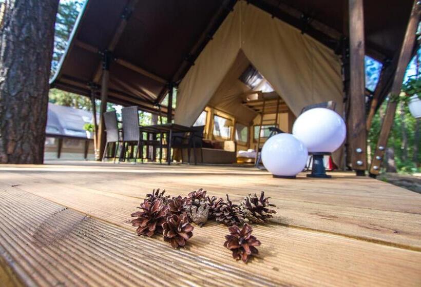 Standard Tent, Shishkinn Resort&spa