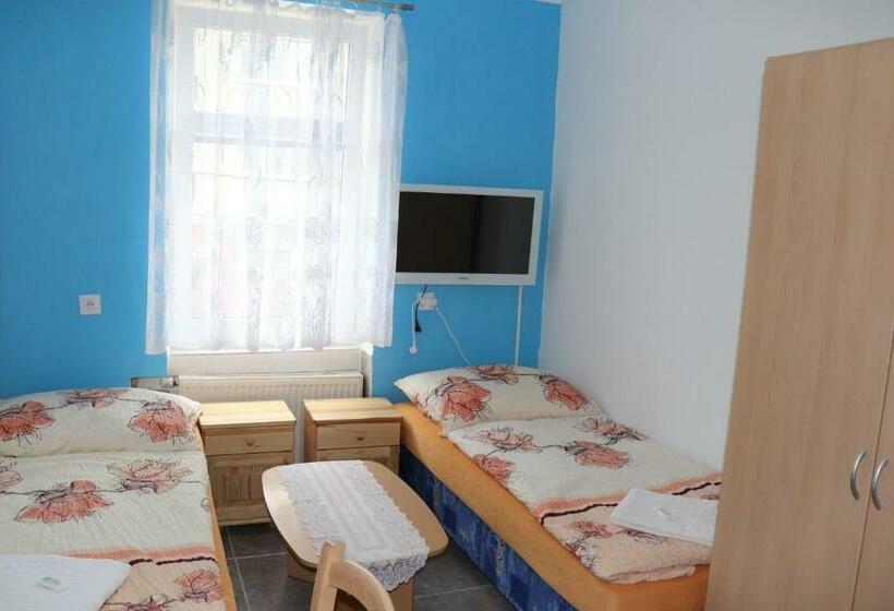 스탠다드 룸 공동 욕실, U Nádraží Lanžhot