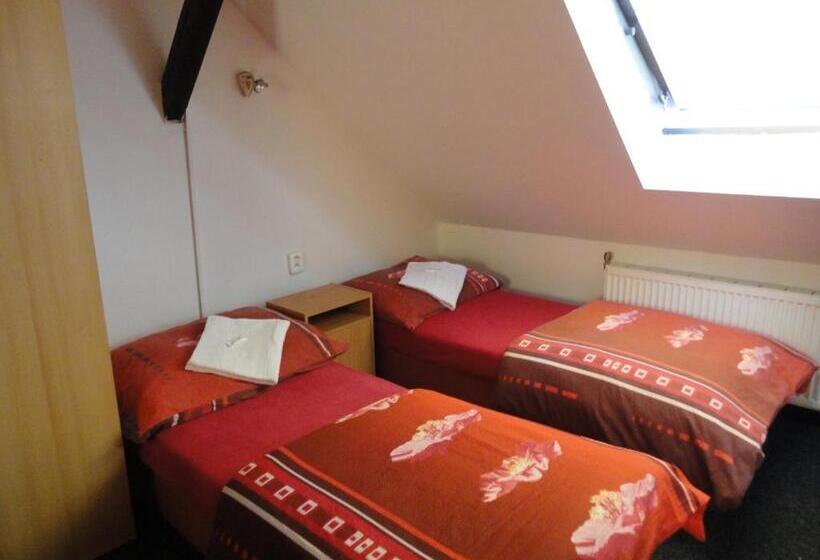 스탠다드 룸 공동 욕실, U Nádraží Lanžhot