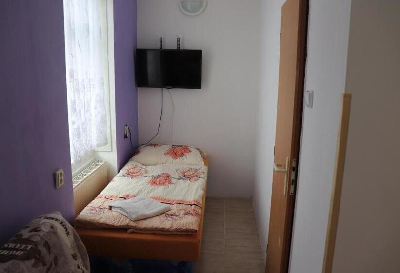 스탠다드 룸 공동 욕실, U Nádraží Lanžhot