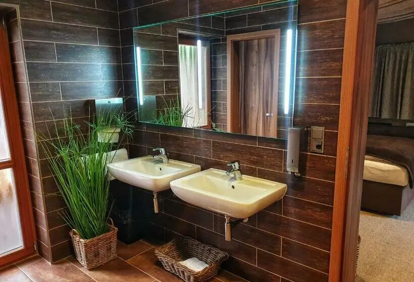 １ベッドルームアパートメント, Park Hotel Popovicky