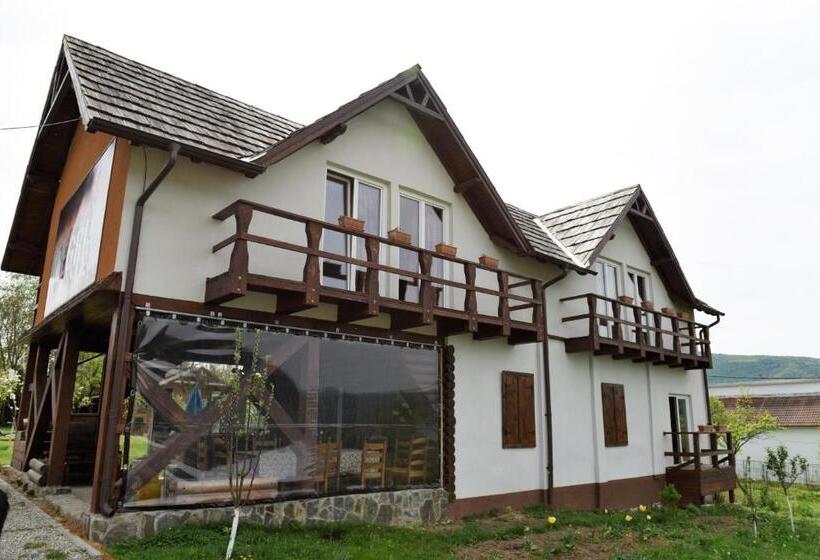 اتاق کلاس بیزنس, Alegria