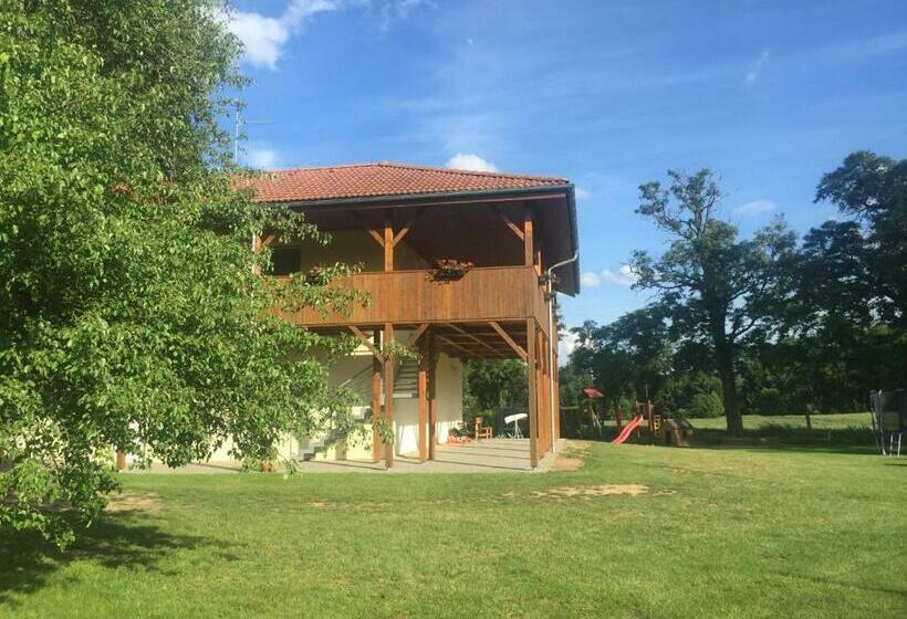 스탠다드 싱글 룸, Penzion U Nováků