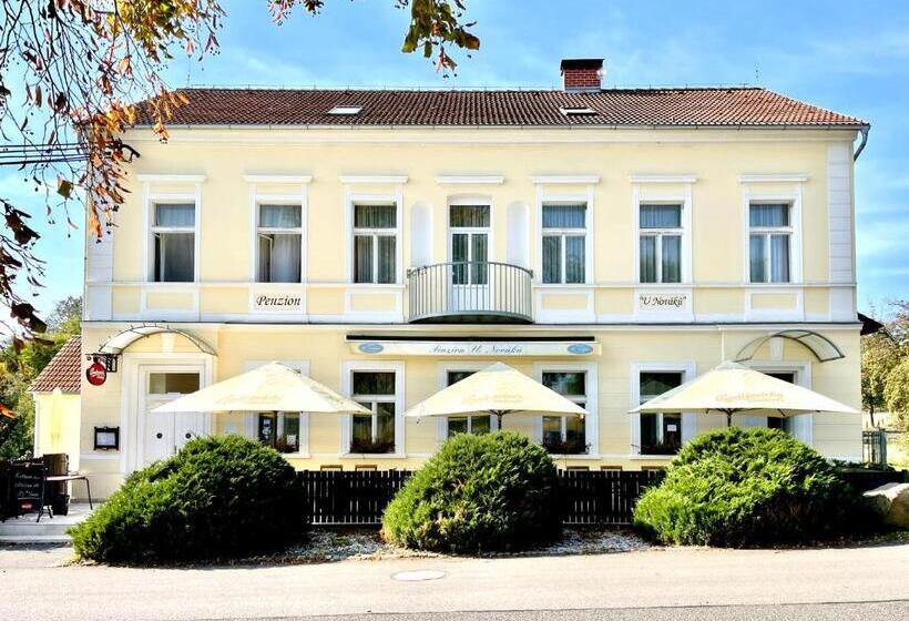 스탠다드 싱글 룸, Penzion U Nováků