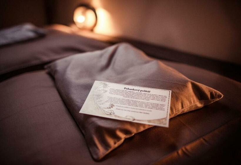 スタンダードルーム, Penzion Víno Hruška